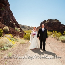 Lake Mead Wedding Packages