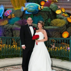 Las Vegas Wedding Packages