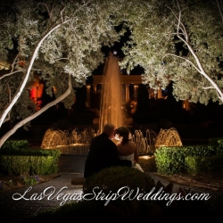 Las Vegas Wedding Packages