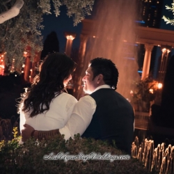 Las Vegas Wedding Packages