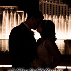 Las Vegas Blvd South Wedding Pictures