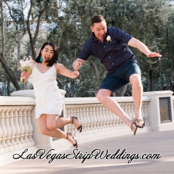 Las Vegas Blvd South Wedding Pictures