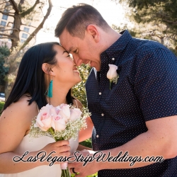 Las Vegas Blvd South Wedding Pictures