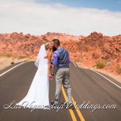 Valley Of Fire Wedding Packages