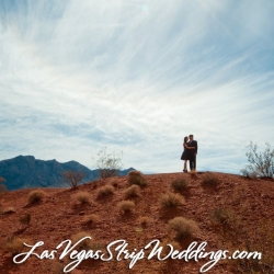 Valley Of Fire Wedding Packages