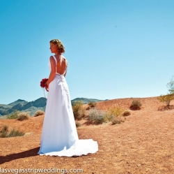 Valley Of Fire Wedding Packages