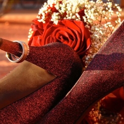 Valley Of Fire Wedding Packages