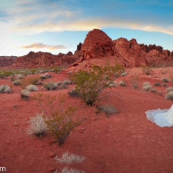 Valley Of Fire Wedding Packages