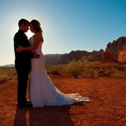 Valley Of Fire Wedding Packages