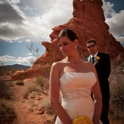 Valley Of Fire Wedding Packages