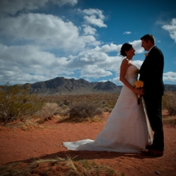 Valley Of Fire Wedding Packages