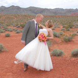 Valley Of Fire Wedding Packages