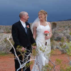 Valley Of Fire Wedding Packages