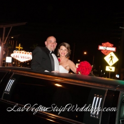 Welcome to Vegas Sign Wedding Packages