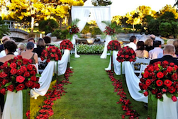 Las Vegas Wedding Packages With Strip Outdoor And Valley Of Fire