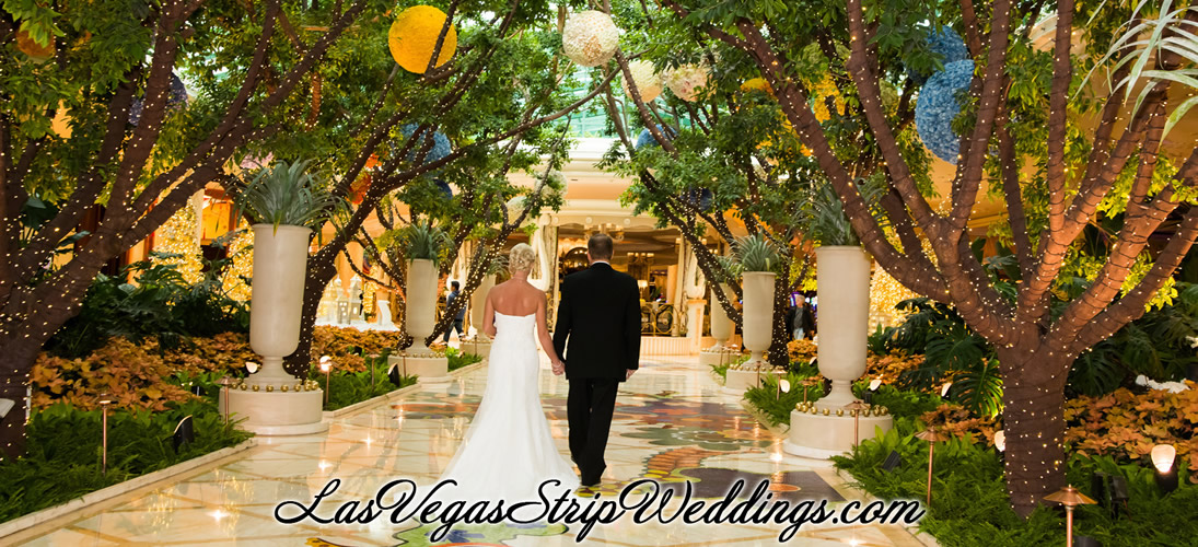  Las  Vegas  Wedding  Packages  with Strip Outdoor  and Valley 